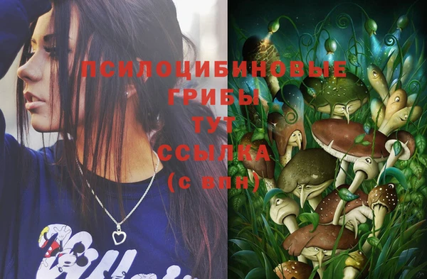 тгк Няндома