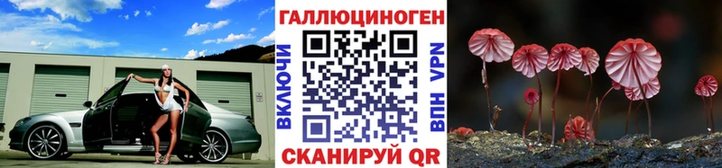 мега маркетплейс  где найти   Оса  Псилоцибиновые грибы Cubensis 