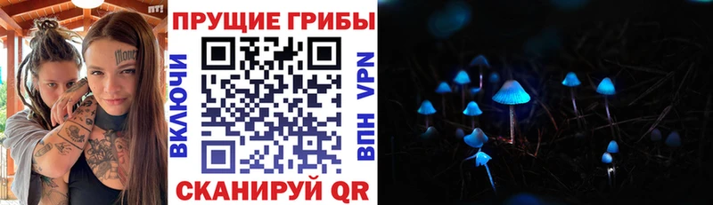 Псилоцибиновые грибы мухоморы Оса